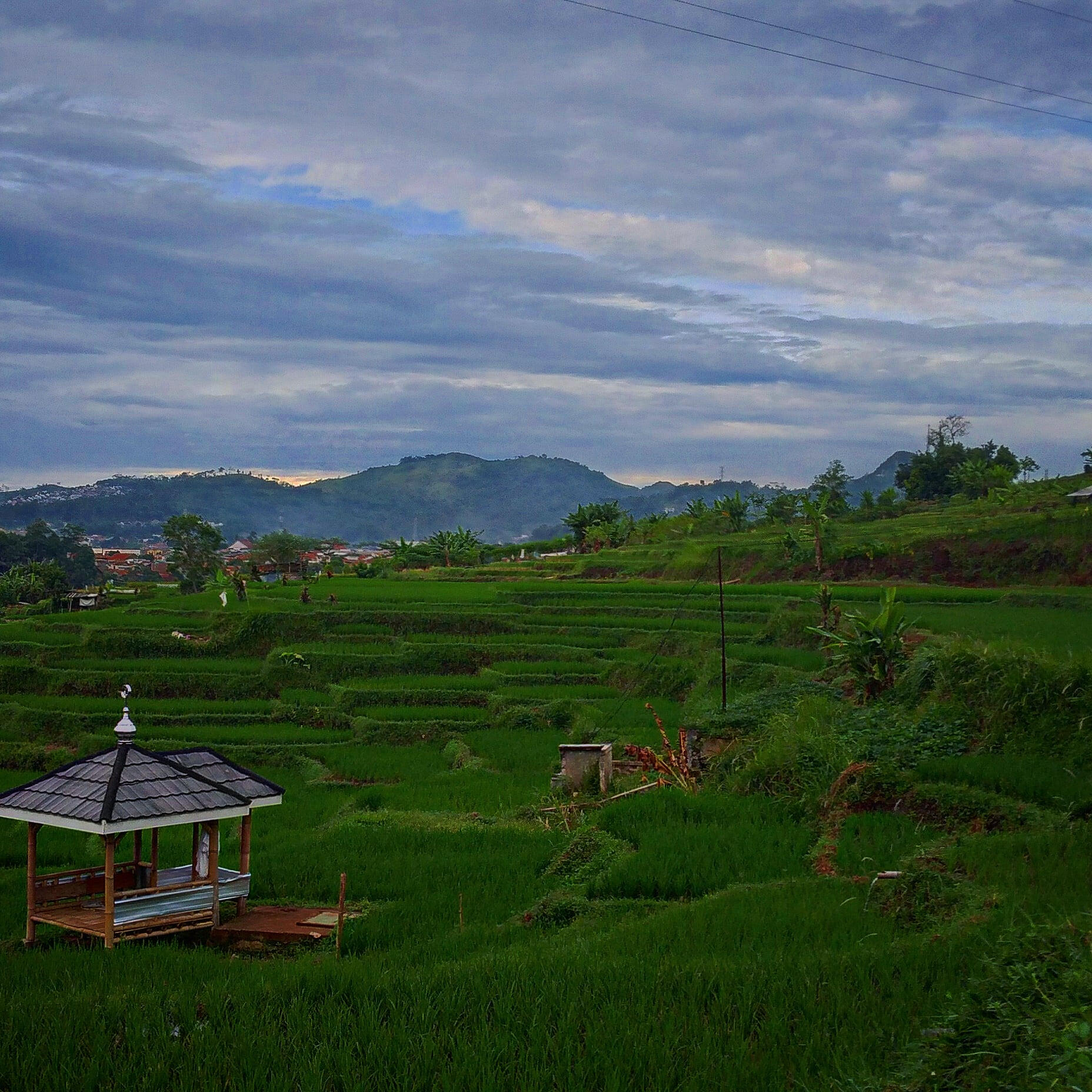 What a relaxing view